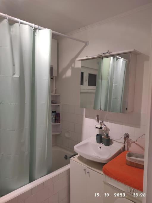 Nina Apartment Загреб Екстериор снимка